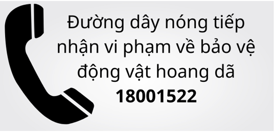 Đường Dây Nóng